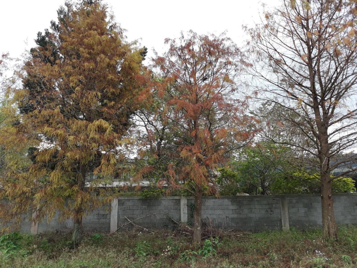 63Inn庭園民宿 Pinghe Ngoại thất bức ảnh